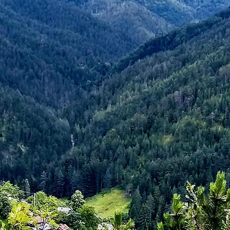 Konaci Gradina 3 Appartement Zaovine